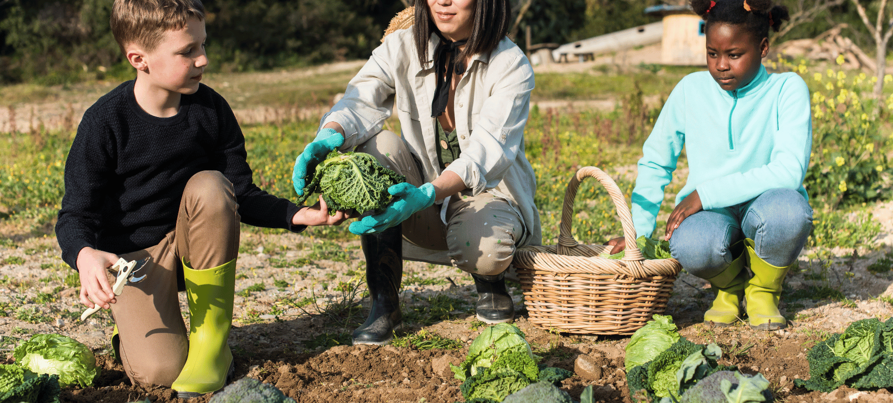 Abberton Rural Training