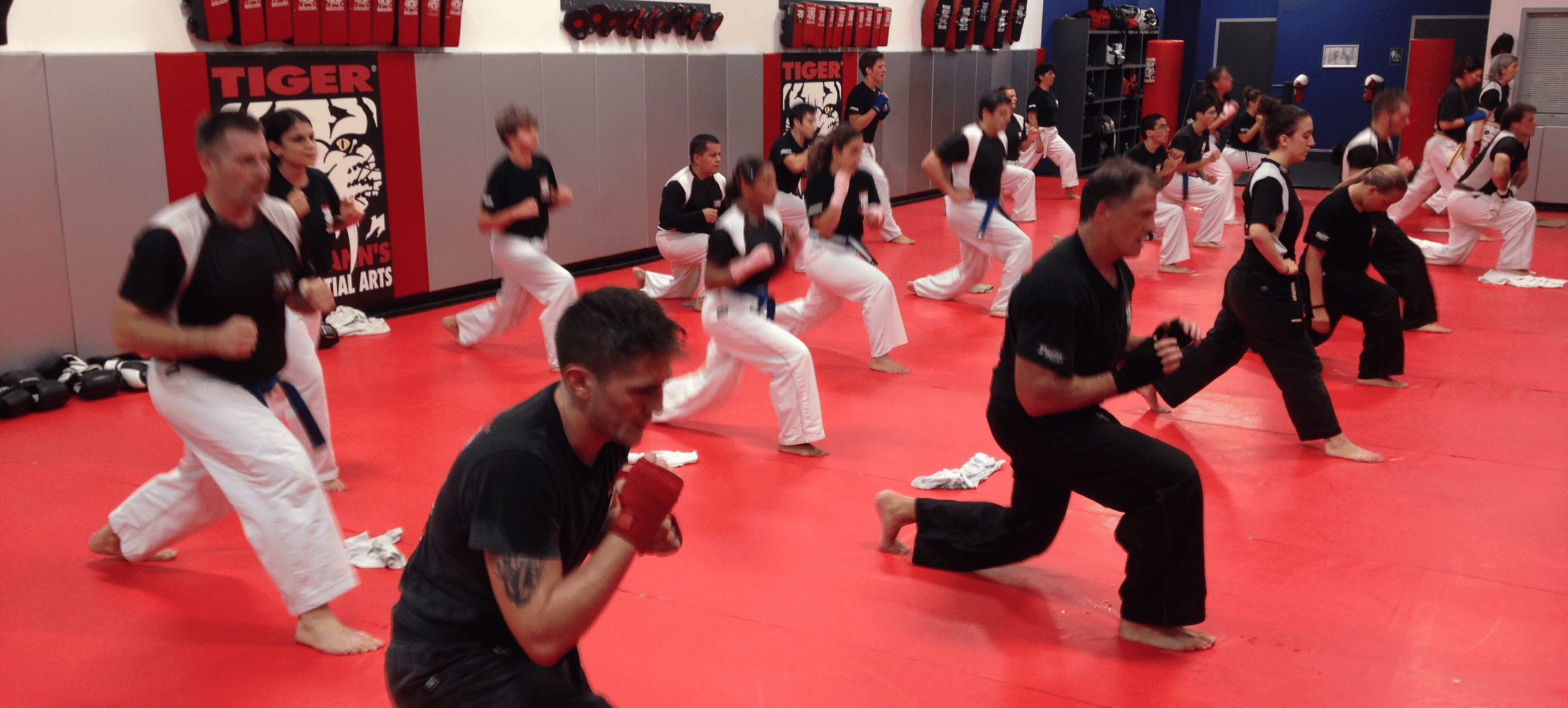 Copy of Case Study Images 34