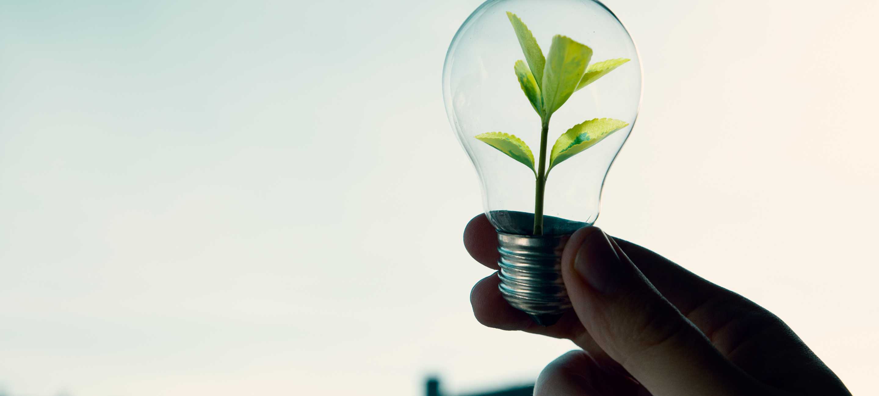 Environmental Sustainability