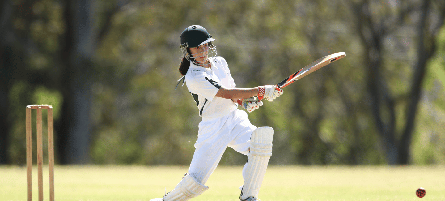 Ladies Cricket 2