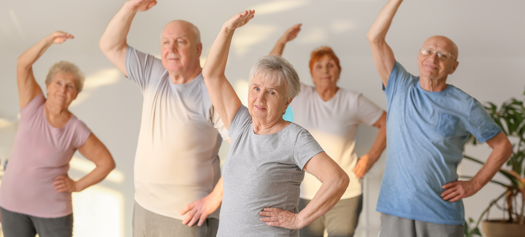 Senior Wellbeing Hub 2