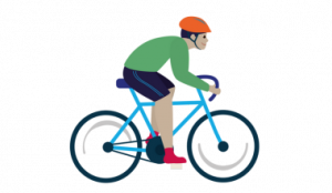 Cycle illustration