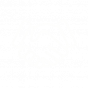 Handshake