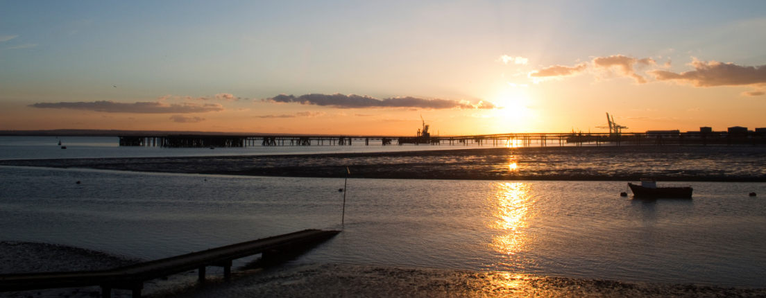 Environmental sustainability